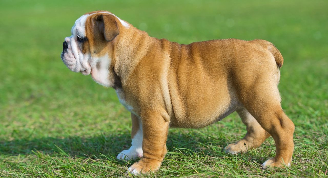 Второй слайд