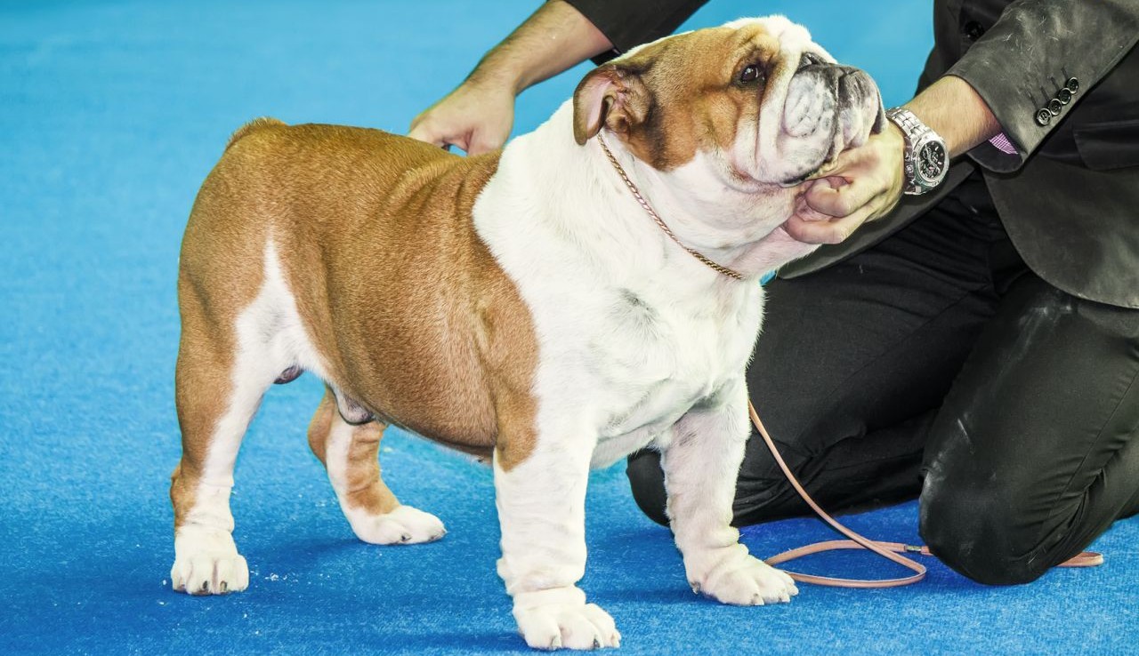 Третий слайд